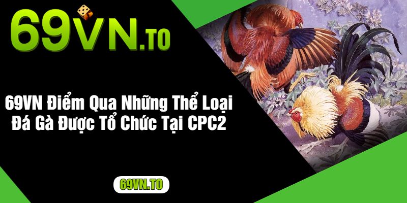 69VN Điểm Qua Những Thể Loại Đá Gà Được Tổ Chức Tại CPC2