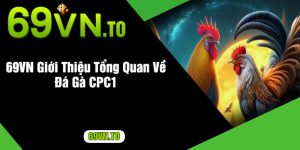 69VN Giới Thiệu Tổng Quan Về Đá Gà CPC1