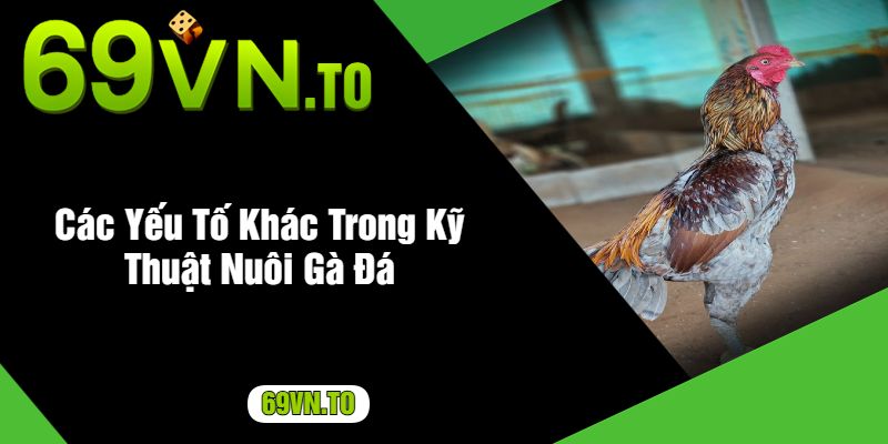 Các Yếu Tố Khác Trong Kỹ Thuật Nuôi Gà Đá