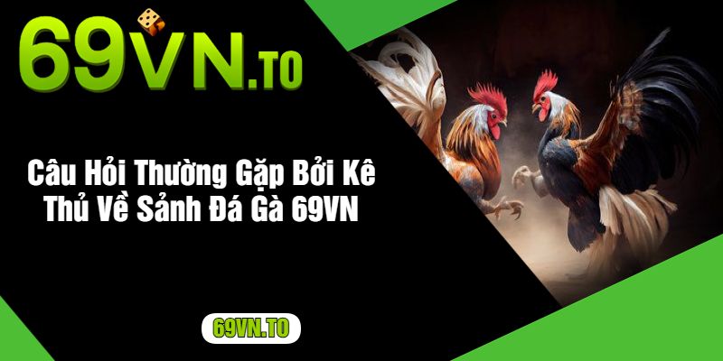 Câu Hỏi Thường Gặp Bởi Kê Thủ Về Sảnh Đá Gà 69VN