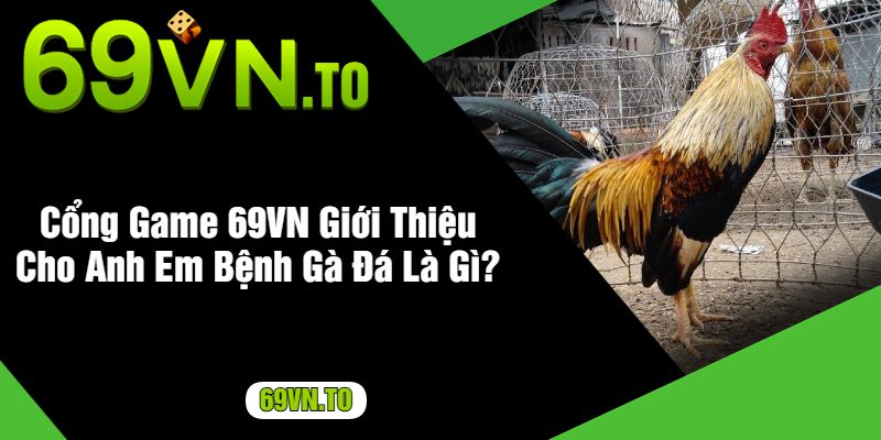 Cổng Game 69VN Giới Thiệu Cho Anh Em Bệnh Gà Đá Là Gì