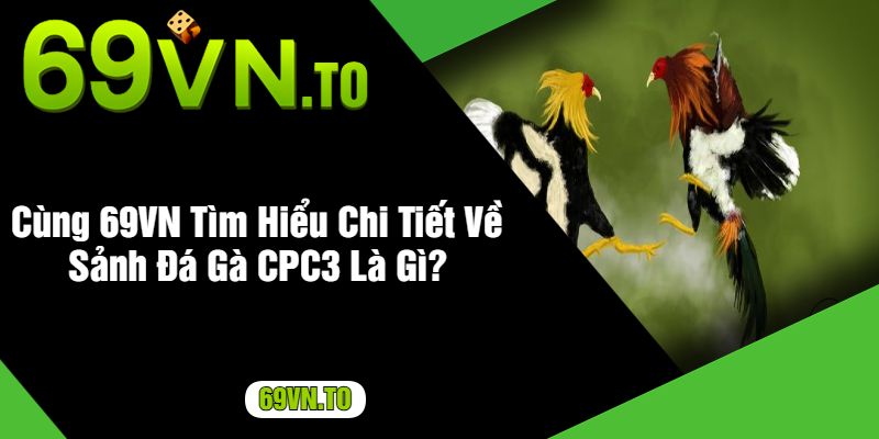 Cùng 69VN Tìm Hiểu Chi Tiết Về Sảnh Đá Gà CPC3 Là Gì?