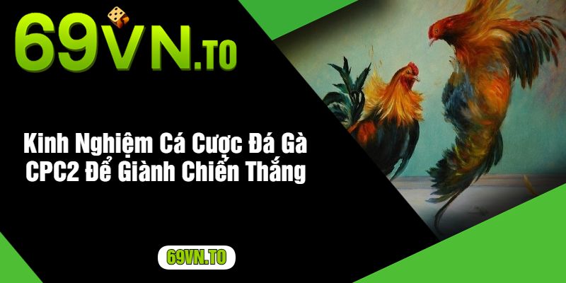 Kinh Nghiệm Cá Cược Đá Gà CPC2 Để Giành Chiến Thắng