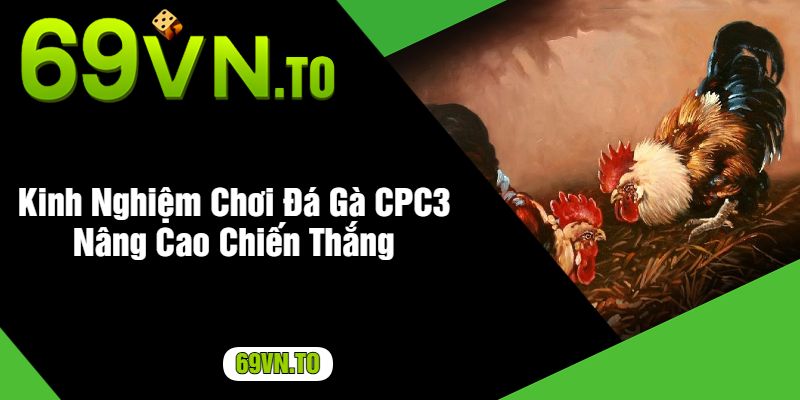 Kinh Nghiệm Chơi Đá Gà CPC3 Nâng Cao Chiến Thắng