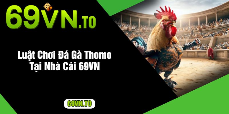 Luật Chơi Đá Gà Thomo Tại Nhà Cái 69VN