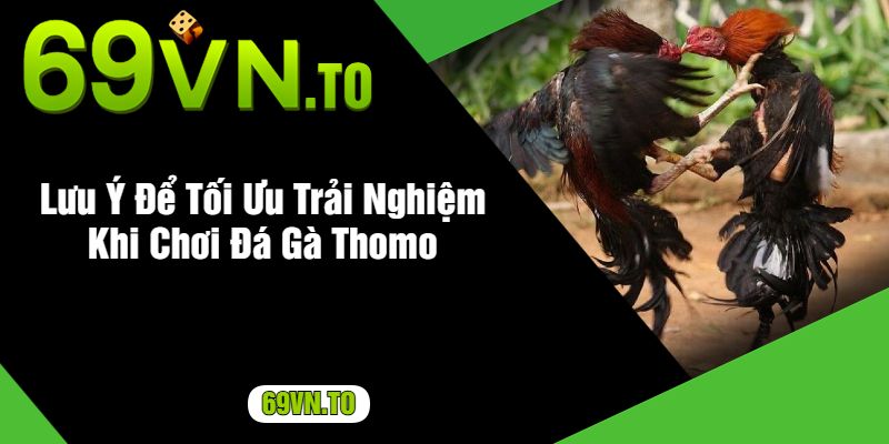 Lưu Ý Để Tối Ưu Trải Nghiệm Khi Chơi Đá Gà Thomo