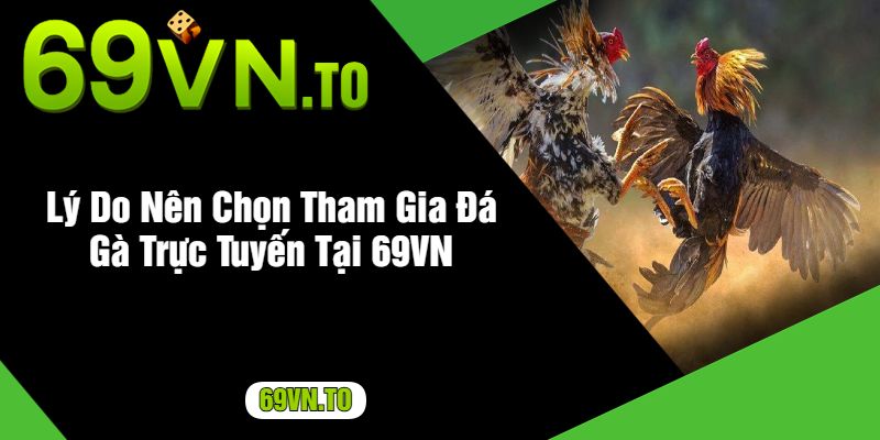 Lý Do Nên Chọn Tham Gia Đá Gà Trực Tuyến Tại 69VN