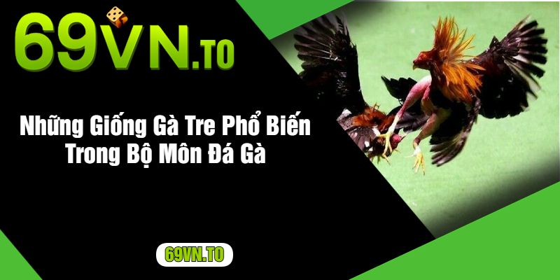 Những Giống Gà Tre Phổ Biến Trong Bộ Môn Đá Gà