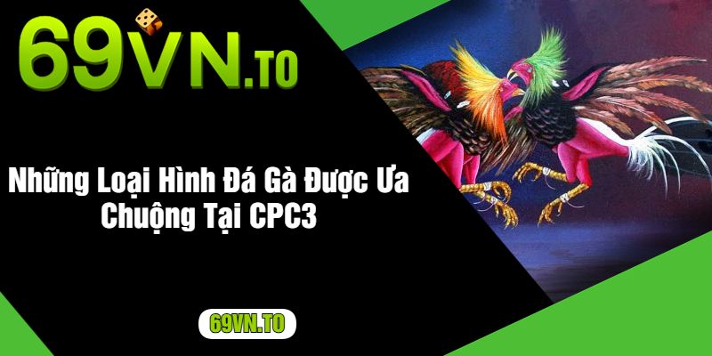 Những Loại Hình Đá Gà Được Ưa Chuộng Tại CPC3