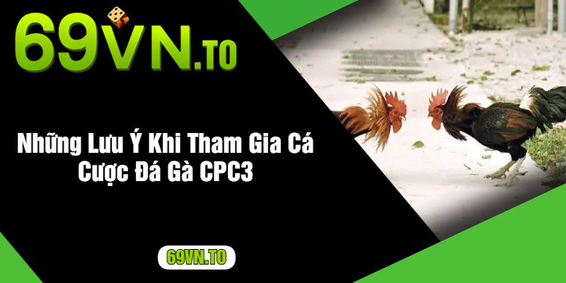 Những Lưu Ý Khi Tham Gia Cá Cược Đá Gà CPC3