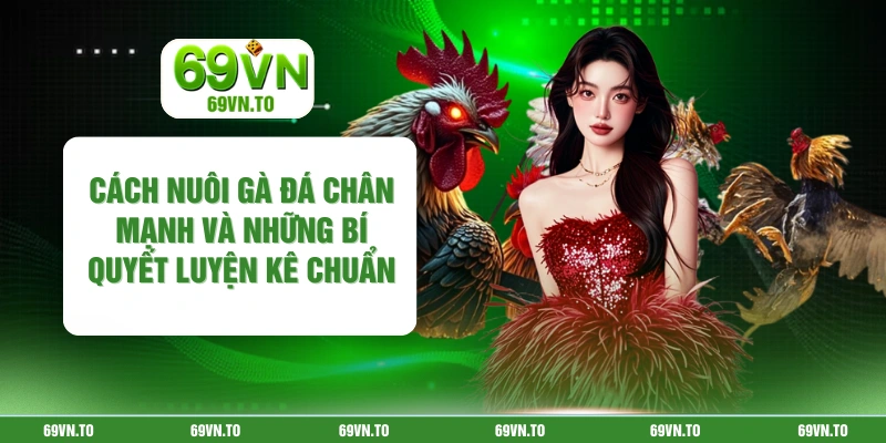 Cách Nuôi Gà Đá Chân Mạnh Và Những Bí Quyết Luyện Kê Chuẩn