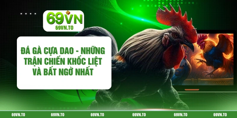 Đá Gà Cựa Dao - Những Trận Chiến Khốc Liệt Và Bất Ngờ Nhất