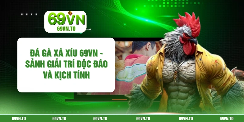 Đá Gà Xá Xíu 69VN - Sảnh Giải Trí Độc Đáo Và Kịch Tính